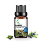 Casa si Gradina - Decoratiuni - Aromaterapie si lumanari - Uleiuri esentiale aromaterapie - Ulei esențial de Ienupăr | Ulei eteric 100% natural și pur | 10 ml | XTERRA® - Infinity.ro