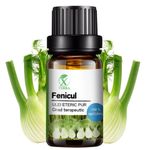 Casa si Gradina - Decoratiuni - Aromaterapie si lumanari - Uleiuri esentiale aromaterapie - Ulei esențial de Fenicul | Ulei eteric 100% natural și pur | 10 ml | XTERRA® - Infinity.ro