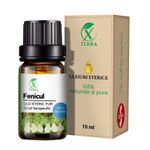 Casa si Gradina - Decoratiuni - Aromaterapie si lumanari - Uleiuri esentiale aromaterapie - Ulei esențial de Fenicul | Ulei eteric 100% natural și pur | 10 ml | XTERRA® - Infinity.ro