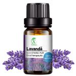 Casa si Gradina - Decoratiuni - Aromaterapie si lumanari - Uleiuri esentiale aromaterapie - Ulei esențial de Lavandă | Ulei eteric 100% natural și pur | 10 ml | XTERRA® - Infinity.ro