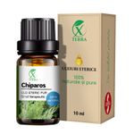 Casa si Gradina - Decoratiuni - Aromaterapie si lumanari - Uleiuri esentiale aromaterapie - Ulei esențial de Chiparos | Ulei eteric 100% natural și pur | 10 ml | XTERRA® - Infinity.ro