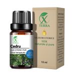 Casa si Gradina - Decoratiuni - Aromaterapie si lumanari - Uleiuri esentiale aromaterapie - Ulei esențial de Cedru | Ulei eteric 100% natural și pur | 10 ml | XTERRA® - Infinity.ro