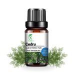 Casa si Gradina - Decoratiuni - Aromaterapie si lumanari - Uleiuri esentiale aromaterapie - Ulei esențial de Cedru | Ulei eteric 100% natural și pur | 10 ml | XTERRA® - Infinity.ro