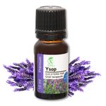 Casa si Gradina - Decoratiuni - Aromaterapie si lumanari - Uleiuri esentiale aromaterapie - Ulei esențial de Ysop | Ulei eteric 100% natural și pur | 10 ml | XTERRA® - Infinity.ro