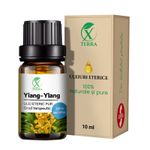 Casa si Gradina - Decoratiuni - Aromaterapie si lumanari - Uleiuri esentiale aromaterapie - Ulei esențial de Ylang-Ylang | Ulei eteric 100% natural și pur | 10 ml | XTERRA® - Infinity.ro