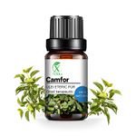 Casa si Gradina - Decoratiuni - Aromaterapie si lumanari - Uleiuri esentiale aromaterapie - Ulei esențial de Camfor Alb | Ulei eteric 100% natural și pur | 10 ml | XTERRA® - Infinity.ro