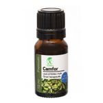 Casa si Gradina - Decoratiuni - Aromaterapie si lumanari - Uleiuri esentiale aromaterapie - Ulei esențial de Camfor Alb | Ulei eteric 100% natural și pur | 10 ml | XTERRA® - Infinity.ro