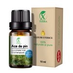 Casa si Gradina - Decoratiuni - Aromaterapie si lumanari - Uleiuri esentiale aromaterapie - Ulei esențial de Ace de Pin | Ulei eteric 100% natural și pur | 10 ml | XTERRA® - Infinity.ro