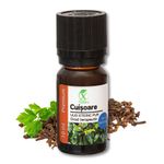 Casa si Gradina - Decoratiuni - Aromaterapie si lumanari - Uleiuri esentiale aromaterapie - Ulei esențial de frunze și muguri Cuișoare | Ulei eteric 100% natural și pur | 10 ml | XTERRA® - Infinity.ro