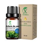 Casa si Gradina - Decoratiuni - Aromaterapie si lumanari - Uleiuri esentiale aromaterapie - Ulei esențial de Arbore de Ceai | Ulei eteric 100% natural și pur | 10 ml | XTERRA® - Infinity.ro
