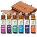 Casa si Gradina - Decoratiuni - Aromaterapie si lumanari - Uleiuri esentiale aromaterapie - XTERRA | Set 6 sinergii de uleiuri esențiale 100% naturale + vitamina E | Etui cărămiziu - Infinity.ro