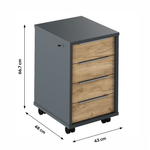 Casa si Gradina - Mobilier - Mese si birouri - Birouri - Recipient cu lacat, grafit / stejar artizanal, RIOMA NEW TYP 30 - Infinity.ro