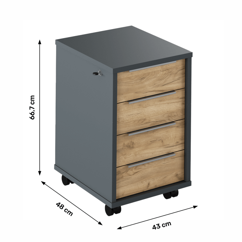 Casa si Gradina - Mobilier - Mese si birouri - Birouri - Recipient cu lacat, grafit / stejar artizanal, RIOMA NEW TYP 30 - Infinity.ro