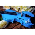 TV, Audio-Video si Foto - Instrumente muzicale - Instrumente clasice - Set vioara clasica si arcus 1/8 suplimentar, DEPOX®, marime 4/4, lemn, albastra, toc din material - Infinity.ro