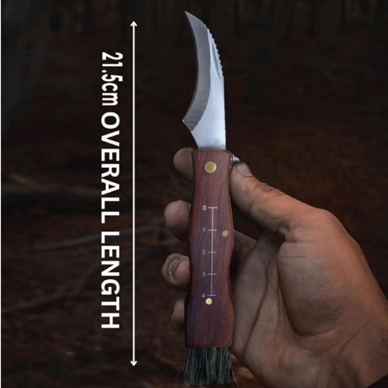 Sport si Outdoor - Camping - Cutite, bricege si accesorii - Cutite si bricege - Briceag pentru ciuperci DEPOX®, otel inoxidabil, cu perie, maner din lemn, 21 cm, maro - Infinity.ro