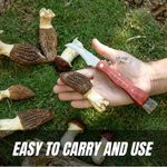 Sport si Outdoor - Camping - Cutite, bricege si accesorii - Cutite si bricege - Briceag pentru ciuperci DEPOX®, otel inoxidabil, cu perie, maner din lemn, 21 cm, maro - Infinity.ro