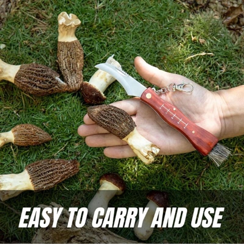 Sport si Outdoor - Camping - Cutite, bricege si accesorii - Cutite si bricege - Briceag pentru ciuperci DEPOX®, otel inoxidabil, cu perie, maner din lemn, 21 cm, maro - Infinity.ro