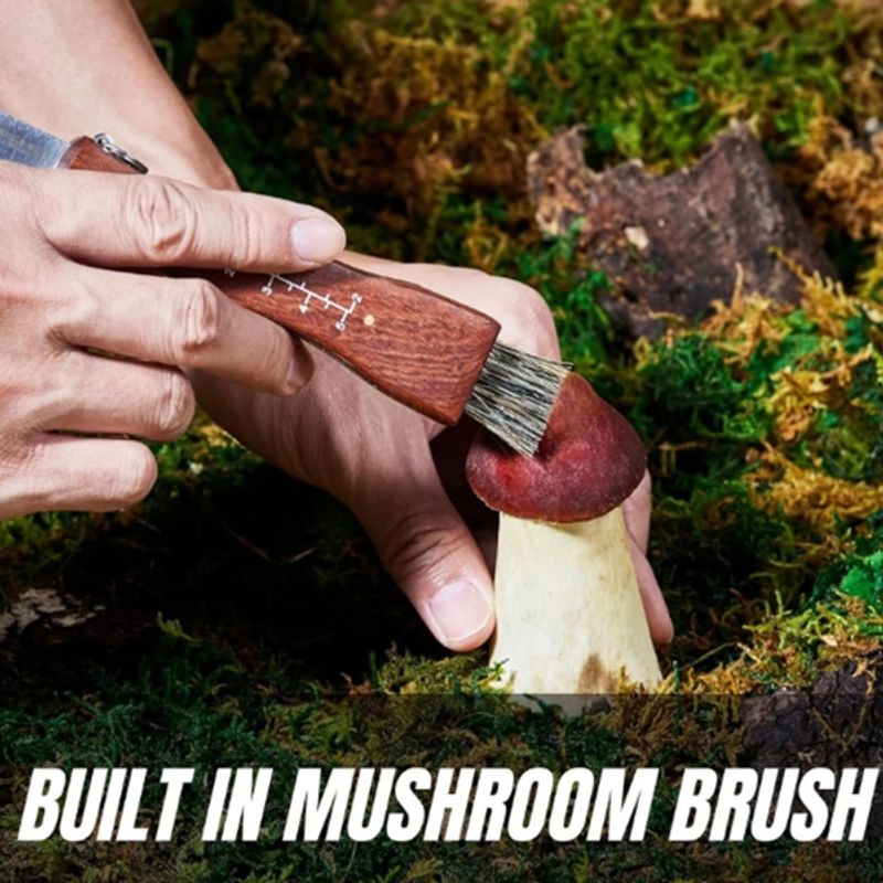 Sport si Outdoor - Camping - Cutite, bricege si accesorii - Cutite si bricege - Briceag pentru ciuperci DEPOX®, otel inoxidabil, cu perie, maner din lemn, 21 cm, maro - Infinity.ro