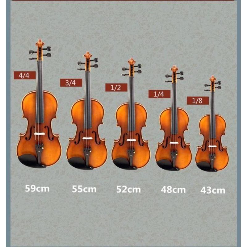 TV, Audio-Video si Foto - Instrumente muzicale - Instrumente clasice - Vioara clasica din lemn 4/4 si arcus 1/8 suplimentar, DEPOX®, toc inclus - Infinity.ro