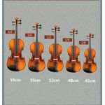 TV, Audio-Video si Foto - Instrumente muzicale - Instrumente clasice - Vioara clasica din lemn 1/2 si arcus 1/8 suplimentar, DEPOX®,  toc inclus - Infinity.ro
