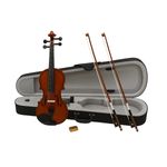 TV, Audio-Video si Foto - Instrumente muzicale - Instrumente clasice - Vioara clasica din lemn 1/2 si arcus 1/8 suplimentar, DEPOX®,  toc inclus - Infinity.ro