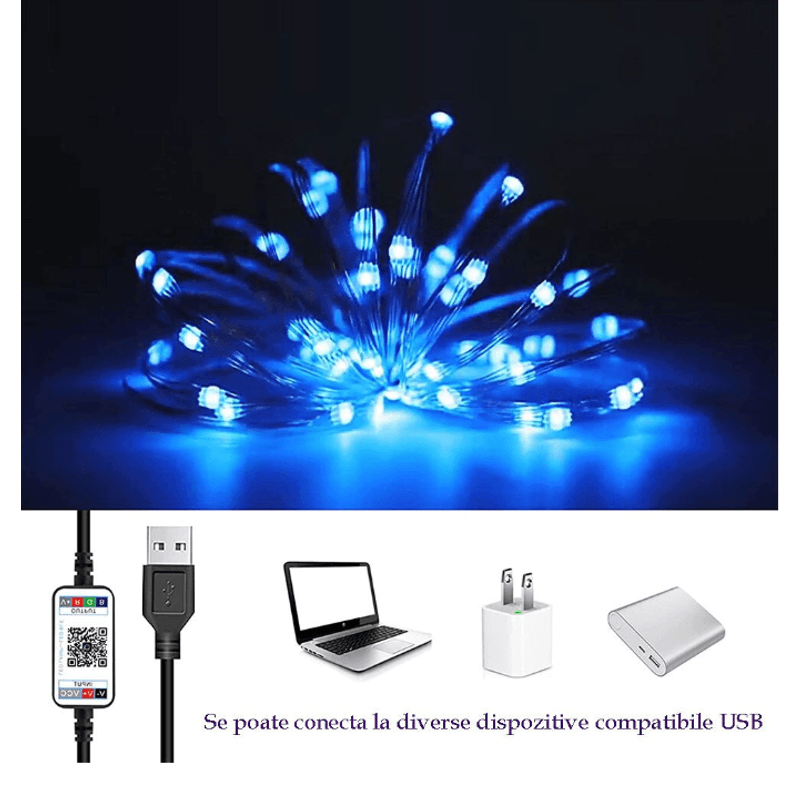 Casa si Gradina - Corpuri si surse de iluminat - Iluminat exterior - Instalatii luminoase exterior - Instalatie decorativa RGB Cu Control Bluetooth Prin Aplicatie 5 metri Luminozitate Reglabila USB Multicolor - Infinity.ro
