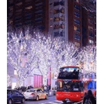 Casa si Gradina - Corpuri si surse de iluminat - Iluminat exterior - Instalatii luminoase exterior - Instalatie Solara 10 Metri cu 100 LED liniara ALB RECE HS - Infinity.ro