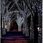 Casa si Gradina - Corpuri si surse de iluminat - Iluminat exterior - Instalatii luminoase exterior - Instalatie solara decorativa 450  LED lungime 45 metri 1500 12 ALB RECE - Infinity.ro