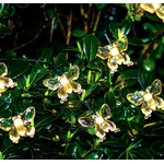 Casa si Gradina - Corpuri si surse de iluminat - Iluminat exterior - Instalatii luminoase exterior - Instalatie 1500-11 Solara 50 LED - FLUTURI Crystal ALB CALD 5m - Infinity.ro