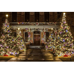 Casa si Gradina - Corpuri si surse de iluminat - Iluminat exterior - Instalatii luminoase exterior - Instalatie multicolora 50m tip rola cu 240 LED 8 efecte de iluminare - Infinity.ro