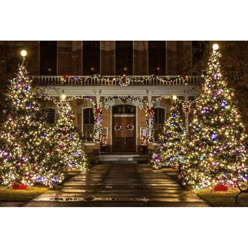 Casa si Gradina - Corpuri si surse de iluminat - Iluminat exterior - Instalatii luminoase exterior - Instalatie multicolora 50m tip rola cu 240 LED 8 efecte de iluminare - Infinity.ro