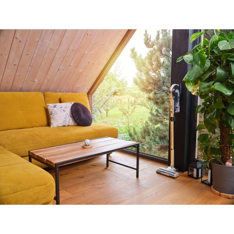 Electronice si Electrocasnice - Ingrijirea locuintei - Aspiratoare - Aspirator vertical ETA Gold Power 1212 90000, motor BLDC 250 W, Li-Ion 21,6 V/ 2500 mAh, recipient praf 0.4 litri - Infinity.ro