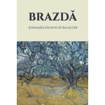 Carti si Birotica - Carti - Religie - BRAZDĂ - Infinity.ro