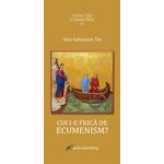 Carti si Birotica - Carti - Religie - Cui i-e frică de ecumenism? - Infinity.ro