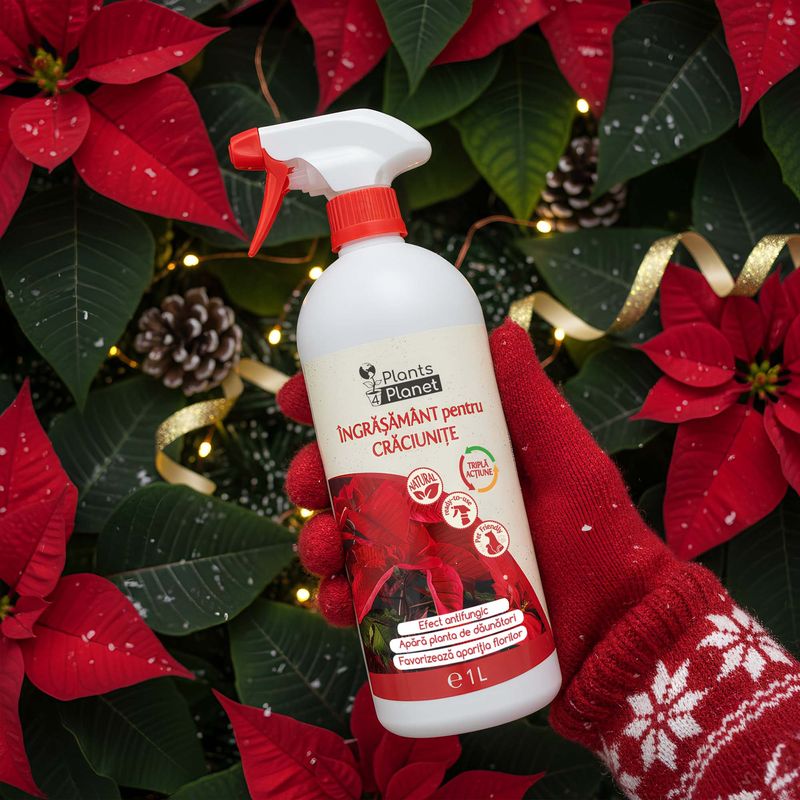 Casa si Gradina - Gradinarit si plante - Intretinere gradina - Pamant flori, ingrasaminte si pesticide - Plants 4 Planet Ingrasamant 3 in 1 pentru Craciunite, gata de utilizare, 1 litru - Infinity.ro