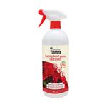 Casa si Gradina - Gradinarit si plante - Intretinere gradina - Pamant flori, ingrasaminte si pesticide - Plants 4 Planet Ingrasamant 3 in 1 pentru Craciunite, gata de utilizare, 1 litru - Infinity.ro