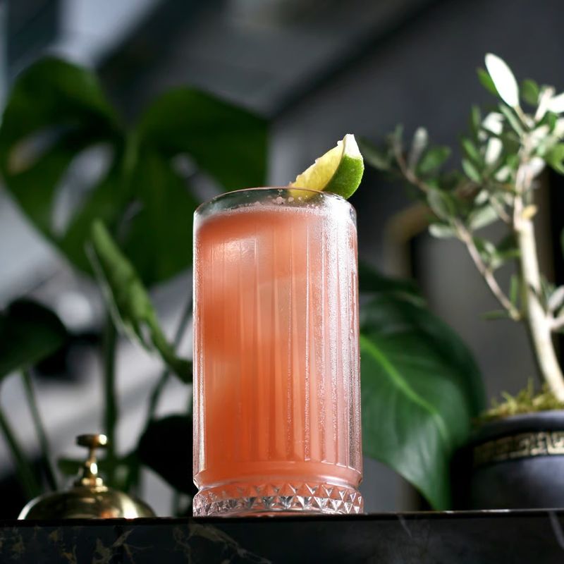 Casa si Gradina - Bucatarie si vesela - Cani si pahare - Pahare - Pahar long drink 435ml, sticla, PASABAHCE Elysia - Infinity.ro