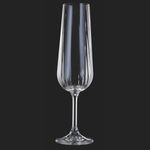 Casa si Gradina - Bucatarie si vesela - Cani si pahare - Pahare - Set 4 pahare sampanie MAISON FORINE Anna, 280ml, sticla cristalina - Infinity.ro