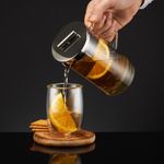 Casa si Gradina - Bucatarie si vesela - Vase pentru gatit - Ceainice si infuzoare - Infuzor ceai sau cafea AMBITION Griffin, 350ml - Infinity.ro