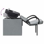 Casa si Gradina - Mobilier - Scaune si fotolii - Scaune - Scaun pentru sampon Gri deschis si negru 63 x 141 x 92 cm - Infinity.ro