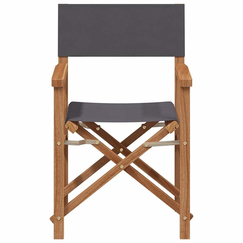 Casa si Gradina - Gradina si terasa - Mobilier exterior - Scaune si sezlonguri gradina - Scaun pliabil pentru directori Gri 56 x 54 x 87 cm - Infinity.ro