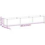 Casa si Gradina - Gradinarit si plante - Plante si ghivece - Ghivece si suporturi - Strat inaltat de gradina 290 x 50 x 36 cm Otel Galvanizat - Infinity.ro