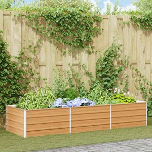 Casa si Gradina - Gradinarit si plante - Plante si ghivece - Infinity.ro