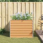 Casa si Gradina - Gradinarit si plante - Plante si ghivece - Ghivece si suporturi - Strat inaltat de gradina Maro deschis 100 x 100 x 77 cm - Infinity.ro