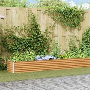 Casa si Gradina - Gradinarit si plante - Plante si ghivece - Infinity.ro