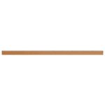 Casa si Gradina - Gradinarit si plante - Plante si ghivece - Ghivece si suporturi - Strat inaltat de gradina 970 x 50 x 36 cm Otel Galvanizat - Infinity.ro