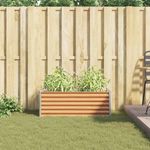 Casa si Gradina - Gradinarit si plante - Plante si ghivece - Ghivece si suporturi - Strat inaltat de gradina 98 x 50 x 36 cm Otel Galvanizat - Infinity.ro