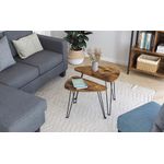Casa si Gradina - Mobilier - Mese si birouri - Masute de cafea - Set de 2 mese de cafea, stil industrial, 60x38x48cm si 52x32x43cm, maro rustic si negru - Infinity.ro