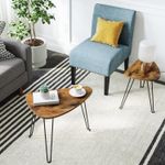 Casa si Gradina - Mobilier - Mese si birouri - Masute de cafea - Set de 2 mese de cafea, stil industrial, 60x38x48cm si 52x32x43cm, maro rustic si negru - Infinity.ro