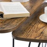 Casa si Gradina - Mobilier - Mese si birouri - Masute de cafea - Set de 2 mese de cafea, stil industrial, 60x38x48cm si 52x32x43cm, maro rustic si negru - Infinity.ro